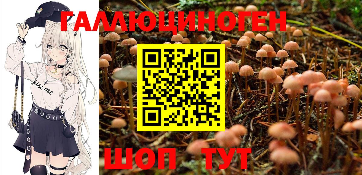 Галлюциногенные грибы MAGIC MUSHROOMS  Вход с VPN  Галлюциногенные грибы Magic Shrooms  Назарово 