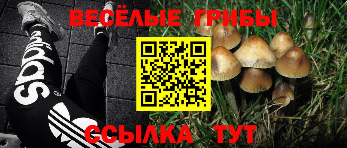 Псилоцибиновые грибы GOLDEN TEACHER Назарово